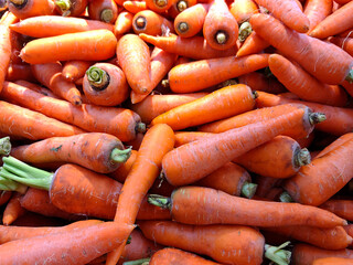 Group of carrot for selling