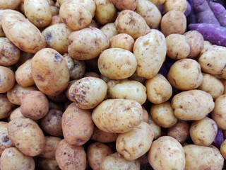 Group of potatoes selling in market