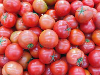 Group of tomatoes selling in market