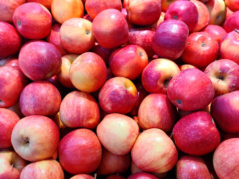 Group of apple selling in market