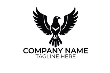 Obraz premium eagle with wings