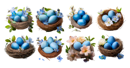 Colorful Blue Eggs in Decorative Nests with Fresh Flowers, isolated on transparent background