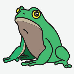 Cute Green Cartoon Frog with white Background