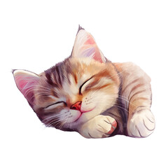  a cute cat sleeping isolated on a transparent background