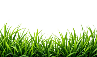 Fototapeta premium Lush Green Grass Border on Black Background Image