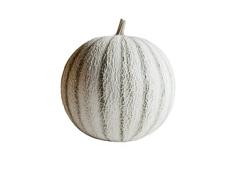 Fresh Light Green Melon with Textured Rind on White Background