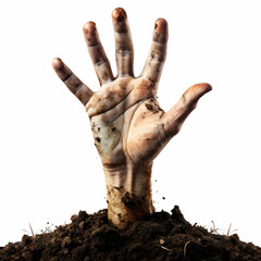 Zombie Hand Coming Out of Soil isolated on white Background