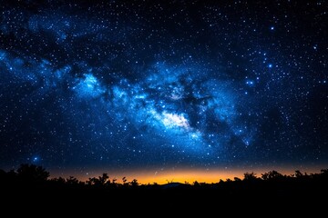 Fototapeta premium Milky Way Galaxy over Silhouetted Trees at Night