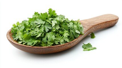 Chopped cilantro on wooden spoon, white background, cooking ingredient