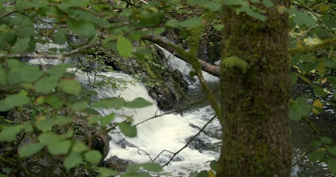 mid shot of the river sychryd looking though trees.