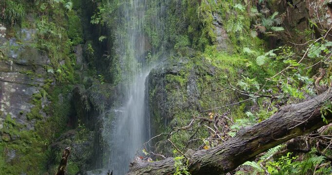 Wide shot of the 2nd smaller Melin Court waterfall on to rocks at Melin Court nature reserve