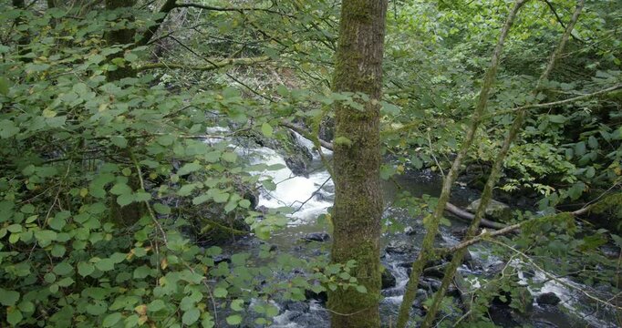 Wide shot of the river sychryd looking though trees.