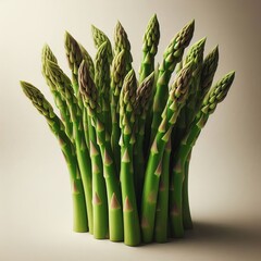 Fresh medicinal asparagus bundle with green stalks on neutral background