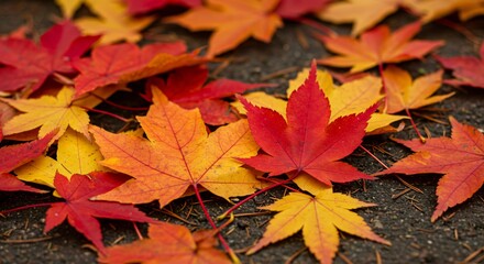 Fototapeta premium A close-up of vibrant autumn leaves in red, orange, and yellow hues scattered on the ground, capturing the beauty of fall with rich colors and natural textures.