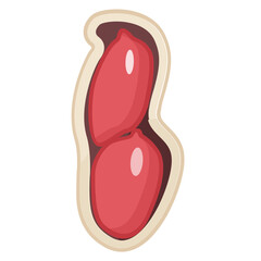 New nut snack Series in spring multi colored icon pack