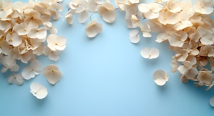 Obraz premium Delicate Dried Hydrangea Petals Frame Light Blue Background