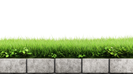 Exploring architectural and landscaping concepts with green grass and stone detail for outdoor design