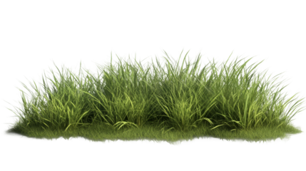 Architectural concept featuring lush green grass ideal for landscape design in outdoor spaces