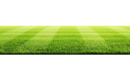 Lush green grass with a seamless transparency background ideal for architectural and landscape design concepts