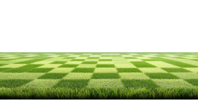 Concept of green grass landscape with checkerboard pattern for architectural designs and outdoor planning concepts in a modern setting
