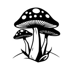 Three Mushrooms in Black and White: A Botanical Illustration. Perfect for nature lovers and design enthusiasts. Download this high-quality graphic for your projects.