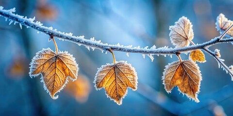 Frozen Autumn Leaves Adorned with Delicate Icy Crystals on a Branch Against a Soft Blue Background