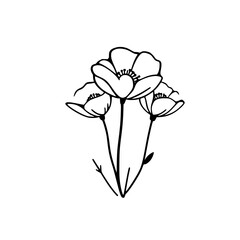 Elegant Line Art Poppies: Black and White Floral Illustration, Botanical Nature Drawing, Minimalist Graphic Design, Simple Flower Sketch, Vector Art