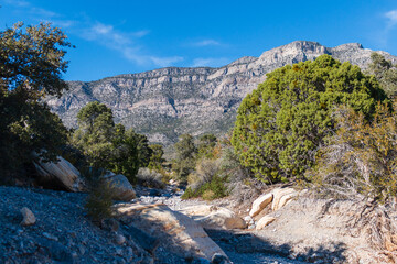 trail at Red Rock Canyon National Conservation Area
