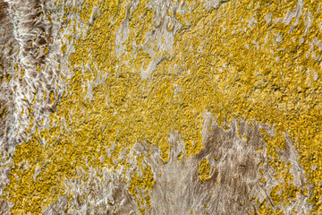 Sand formations, Oakura, North Island, New Zealand, Oceania.