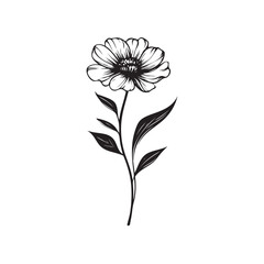 black and white flower