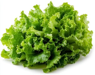 Fresh green lettuce leaves with water droplets, isolated on white background. Healthy, vibrant, and crisp. Perfect for salads or as a garnish