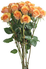 bouquet of orange roses