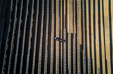 Aerial view lone worker inspecting solar panels at sunrise, energy farm
