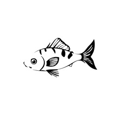 Striped Fish: Elegant Black and White Illustration of Aquatic Life
