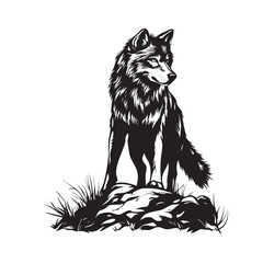 wolf black and white