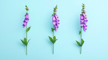 Obraz premium Three Purple Foxglove Flowers on Light Blue Background