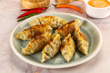 Japanese fried Gyoza stuffed dumplings