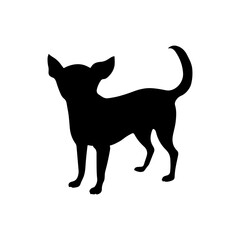 Black standing chihuahua silhouette vector flat illustration design on white background.