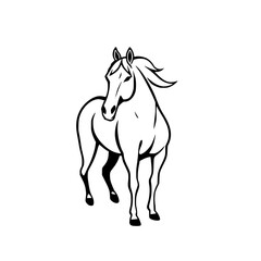 Majestic Horse Line Art: Elegant Black and White Equine Drawing, Vector Graphic Design Illustration