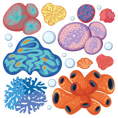 Fototapeta premium Colorful Underwater Coral and Marine Life