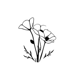 Elegant Black and White Poppy Flower Line Art: Minimalist Botanical Illustration