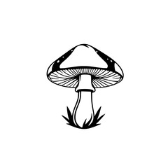Elegant Black and White Mushroom Illustration: Botanical Line Art Print