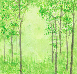 Watercolor painting nature background of green forest with trees and grass on paper. landscape nature. illustration for spring or autumn and tropical concept. Hand painted texture style.
