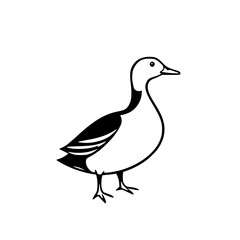 Elegant Black and White Duck Illustration: A Minimalist Bird Design