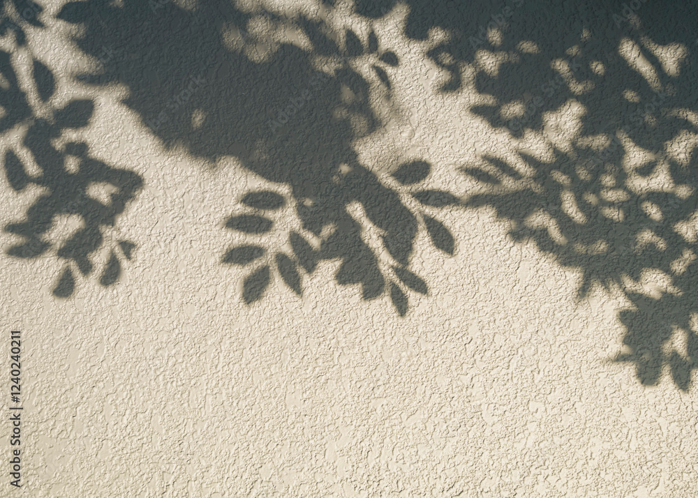 Poster tree leaf shadow light texture on white wall abstract background