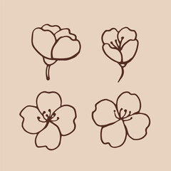 Fototapeta premium Flowers of jasmine hand drawn illustration. Vector isolated branch ink style.