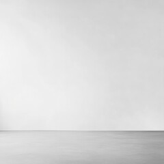 Minimalist empty room with white wall and floor