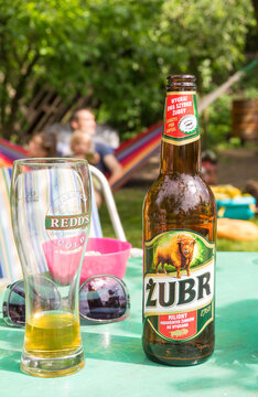 Polish Zubr beer and a glass
