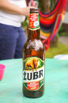 Polish Zubr beer glass bottle standing on a table outdoors.
