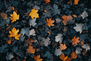 Autumn leaves ground cover forest floor texture background design